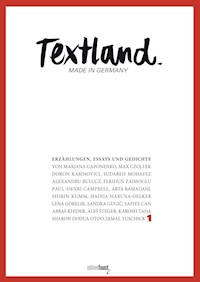 Textland - Made in Germany. Erzählungen, Essays und Gedichte -  - ebook