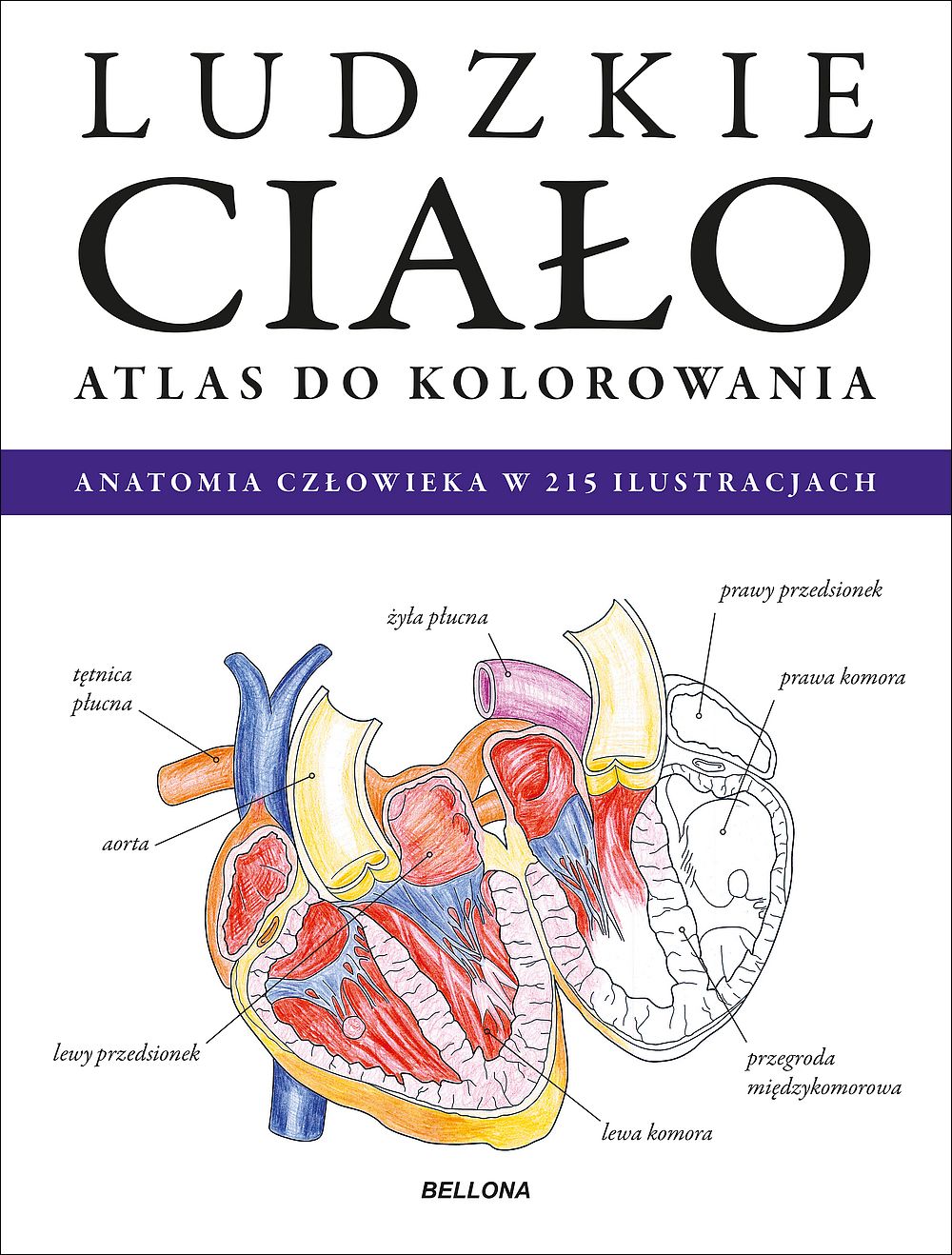 Ludzkie ciało. Atlas do kolorowania - zbiorowa praca - książka