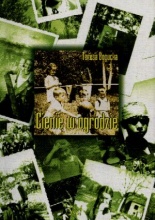 Cienie w ogrodzie - Teresa Bogucka - ebook