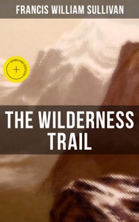 The Wilderness Trail - Francis William Sullivan - ebook