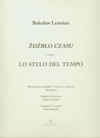 Źdźbło czasu Lo stelo del tempo - Bolesław Leśmian - książka