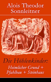 Die Höhlenkinder: Heimlicher Grund + Pfahlbau + Steinhaus - Alois Theodor Sonnleitner - ebook