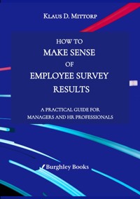 How to Make Sense of Employee Survey Results - Klaus D. Mittorp - ebook