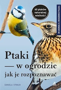 Ptaki w ogrodzie - jak je rozpoznawać - Strauss Daniela - książka