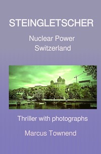 STEINGLETSCHER - Marcus Brian Vladimir Townend - ebook