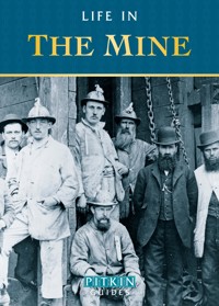 Life in the Mine - Anthony Burton - ebook