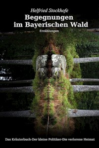 Begegnungen im Bayerischen Wald - Helfried Stockhofe - ebook