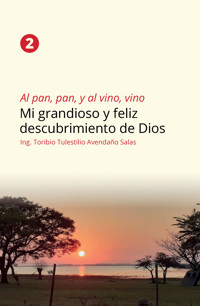 Al pan, pan y al vino, vino 2 - Ing. Toribio Tulestilio Avendaño Salas - ebook