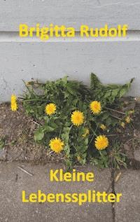 Kleine Lebenssplitter - Brigitta Rudolf - ebook
