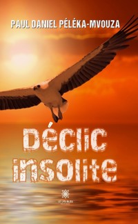 Déclic insolite - Paul Daniel Péléka-Mvouza - ebook