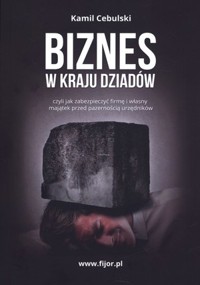 Biznes w kraju dziadów - Kamil Cebulski - książka