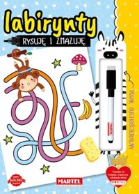 Rysuję i zmazuję Labirynty - Salamon Katarzyna - książka