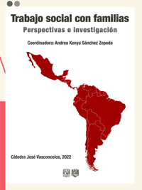 Trabajo social con familias. Perspectivas e investigación - Andrea Kenya Sanchez Zepeda - ebook