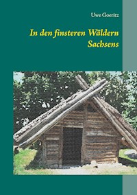 In den finsteren Wäldern Sachsens - Uwe Goeritz - ebook