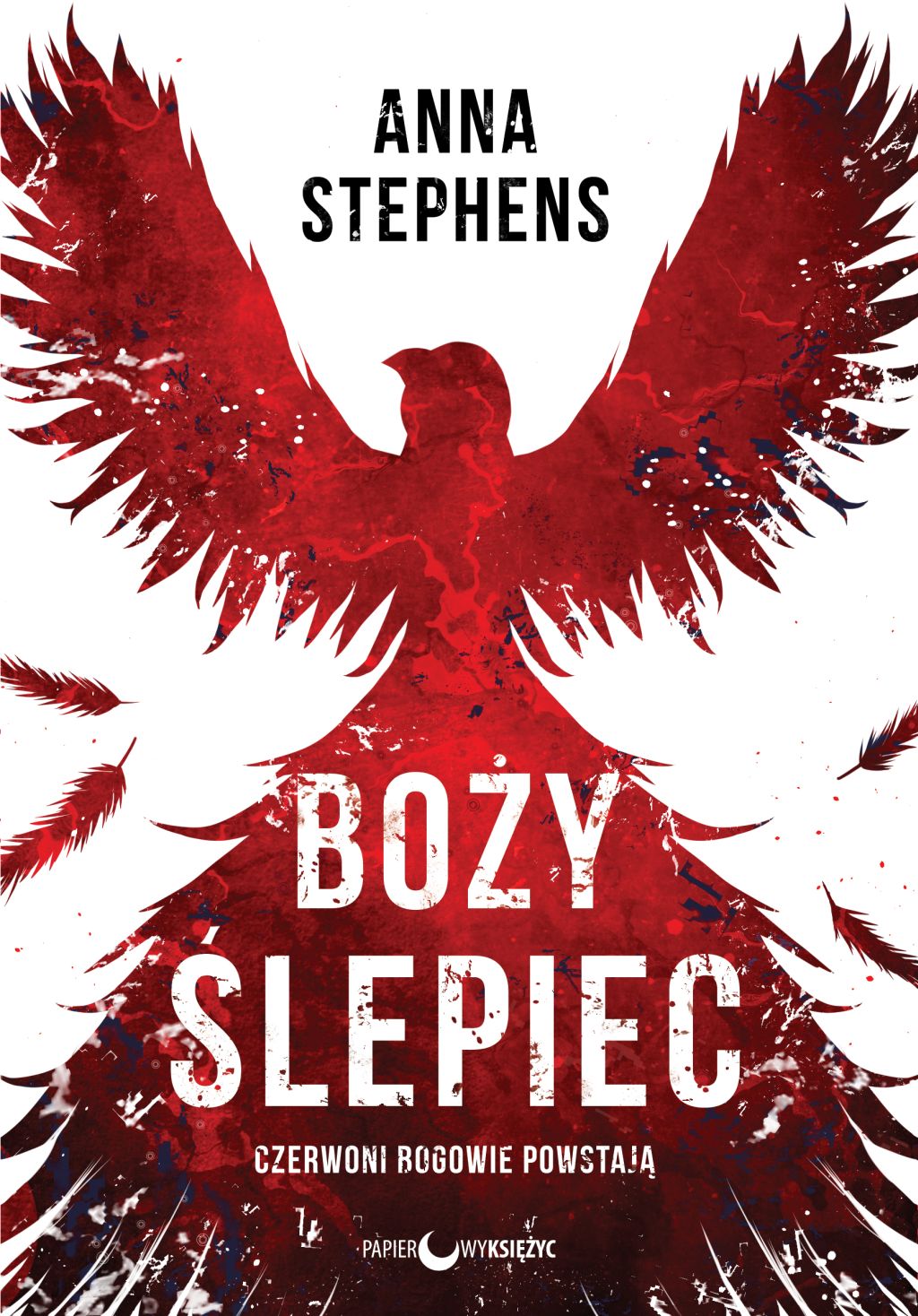 Boży ślepiec - Anna Stephens - książka