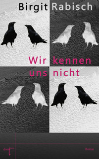 Wir kennen uns nicht - Birgit Rabisch - ebook