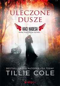 Uleczone dusze. Kaci Hadesa - Tillie Cole - ebook + książka