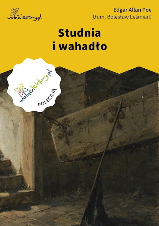 Okładka książki Studnia i wahadło