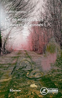 Ce ne sont que des histoires de gosses ! - Mattéo Scarano - ebook