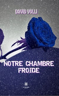 Notre chambre froide - David Volli - ebook