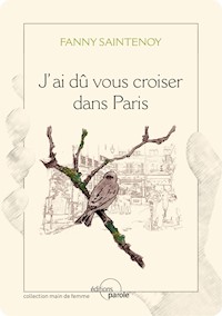 J'ai dû vous croiser dans Paris - Fanny Saintenoy - ebook