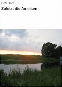 Zuletzt die Ameisen - Cati Dorn - ebook
