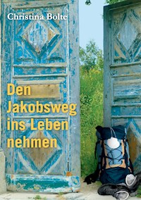 Den Jakobsweg ins Leben nehmen - Christina Bolte - ebook