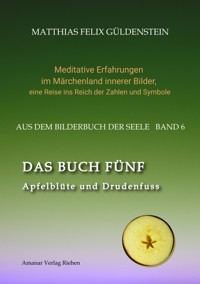 DAS BUCH FÜNF; Vom Geben und Nehmen; Haupt und Gieder als fünfstrahliger Stern; Selbstlose Liebe; Freien und Befreien; Grimm-Märchen Sterntaler; - Matthias Felix Güldenstein - ebook
