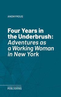 Four Years in the Underbrush - (anonymous) - ebook