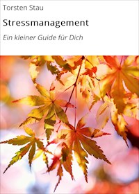 Stressmanagement - Torsten Stau - ebook