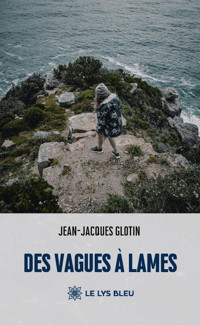 Des vagues à lames - Jean-Jacques Glotin - ebook
