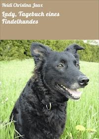 Lady, Tagebuch eines Findelhundes - Heidi Christina Jaax - ebook
