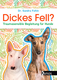 Dickes Fell - Dr. Sandra Foltin - ebook