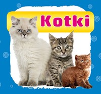 Kotki Harmonijka mała - Myślak Monika - książka