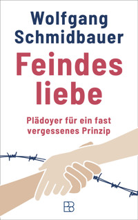 Feindesliebe - Wolfgang Schmidbauer - ebook