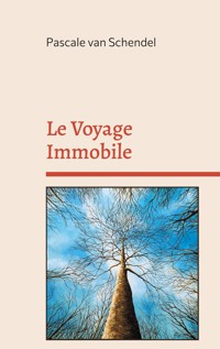 Le Voyage Immobile - Pascale van Schendel - ebook