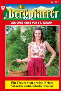 Ein Traum vom großen Erfolg - Toni Waidacher - ebook