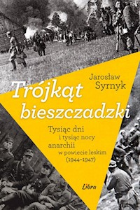 Trójkąt bieszczadzki - Syrnyk Jarosław - książka