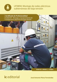 Montaje de redes eléctricas subterráneas de baja tensión. ELEE0109 - José Antonio Pérez Fernández - ebook