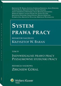 System prawa pracy Tom 4 -  - książka