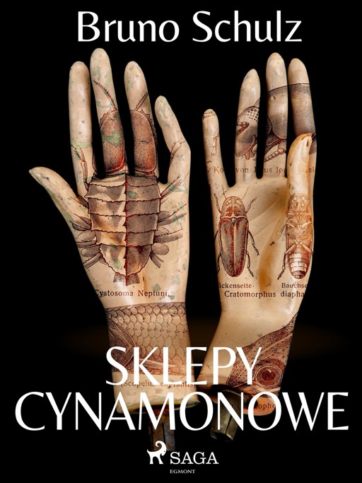 Okładka książki Sklepy cynamonowe - zbiór - Bruno Schulz