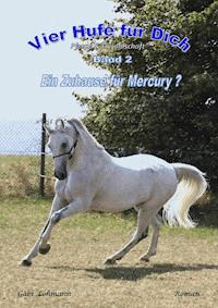 Vier Hufe für Dich - Ein Zuhause für Mercury (Pferd & Freundschaft) - Gabi Lohmann - ebook