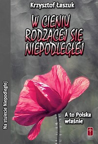 W cieniu rodzącej się Niepodległej - Łaszuk Krzysztof - książka