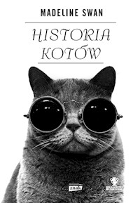 Historia kotów - Swan Madeline - książka