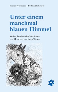 Unter einem manchmal blauen Himmel - Rainer Wohlfarth - ebook