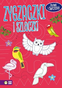 Zygzaczki i szlaczki różowe -  - książka