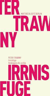 Irrnisfuge - Trawny Peter - ebook