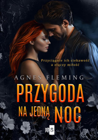 Przygoda na jedną noc - Fleming Agnes - ebook + książka