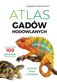 Atlas gadów hodowlanych. 100 gatunków. Jaszczurki, żółwie, krokodylowe - Angelika Dawidowicz - książka