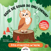 Gdzie się sowa do snu chowa? Kto mieszka w lesie - Fiona Huisman - książka